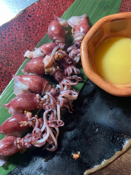 春のホタルイカ　茹でたて